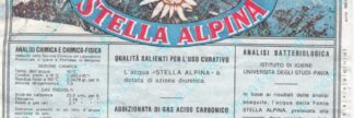 21016843-Stella Alpina