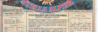 21016844-Stella Alpina